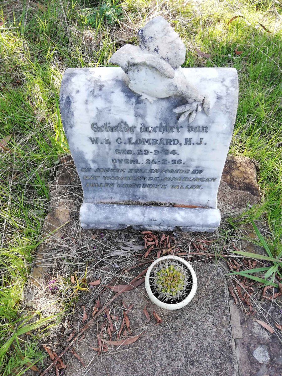 LOMBARD H.J. 1894-1896