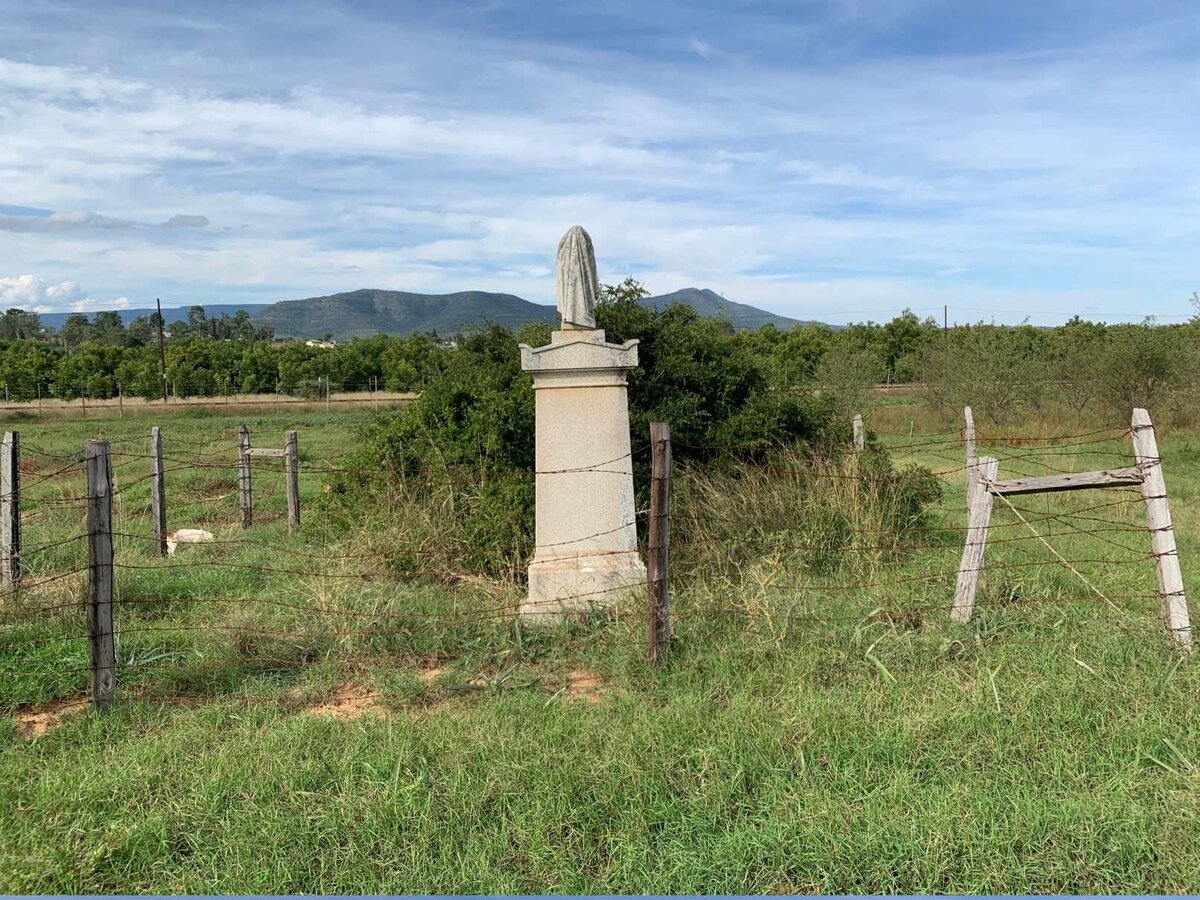 1. Oorsig / Overview