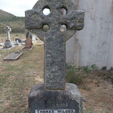 WILCOX Thomas 1865-1936