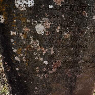 PITT Rupert William -1879