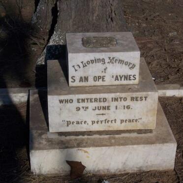 BAYNES Stanhope -1916