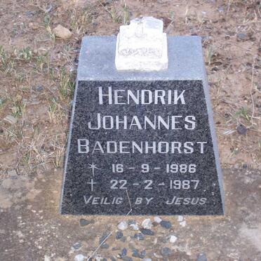 BADENHORST Hendrik Johannes 1986-1987