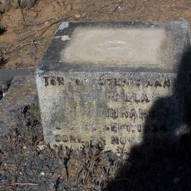 KLEINHANS Petronella C. 1934-1939