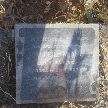 MEYER Andries 1918-1957