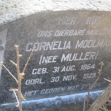 MOOLMAN Cornelia nee MULLER 1864-1929