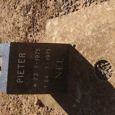 NEL Pieter 1975-1975