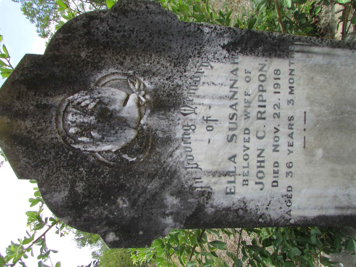 RIPPON Ella Susannah -1918