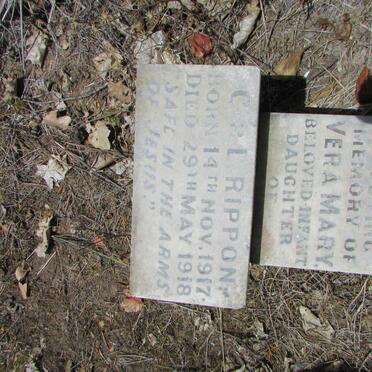 RIPPON Vera Mary 1917-1918