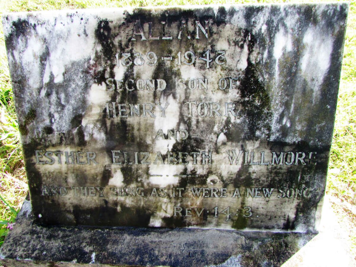 WILLMORE Allan 1889-1948