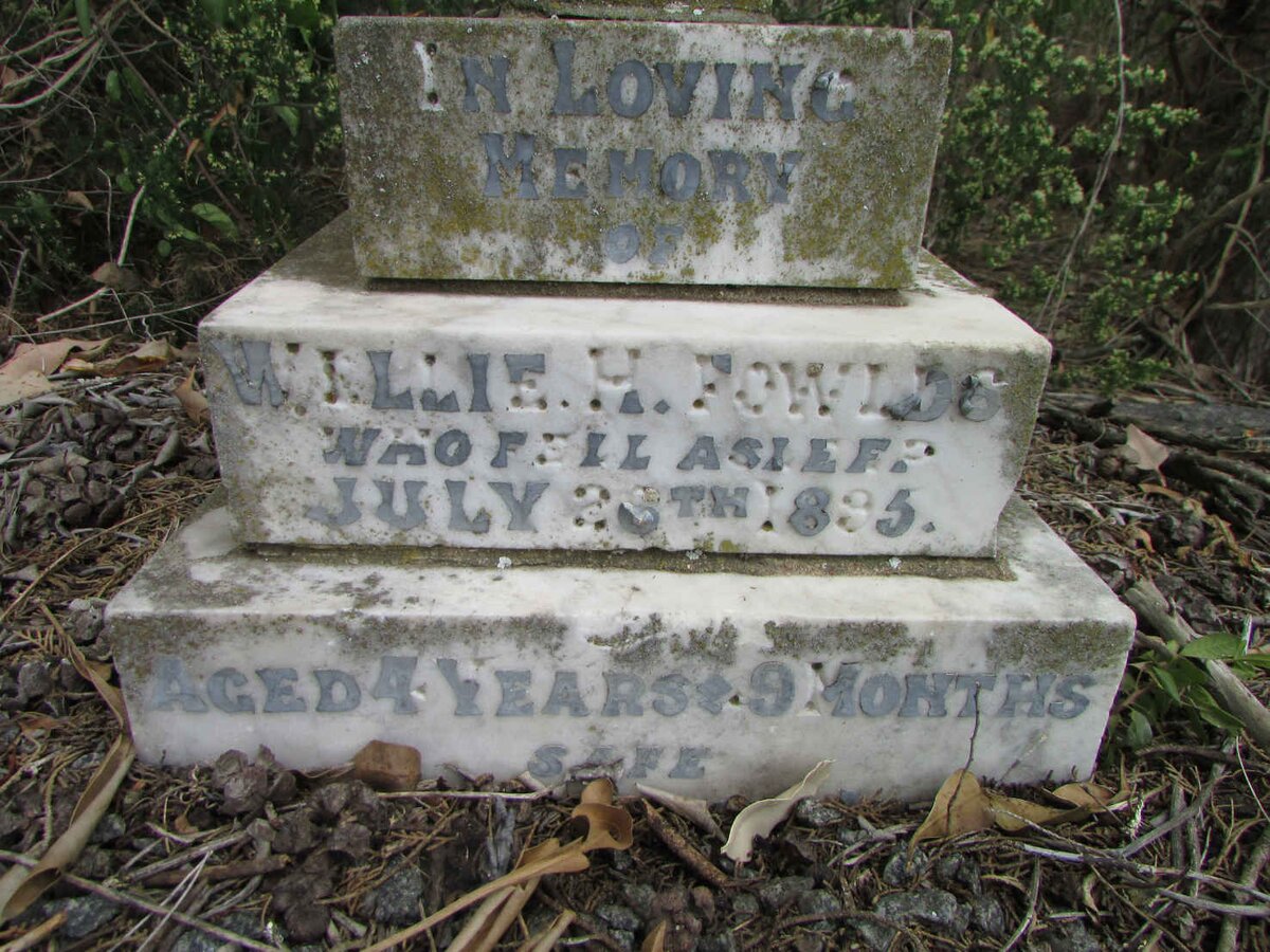 FOWLDS Willie H. -1895