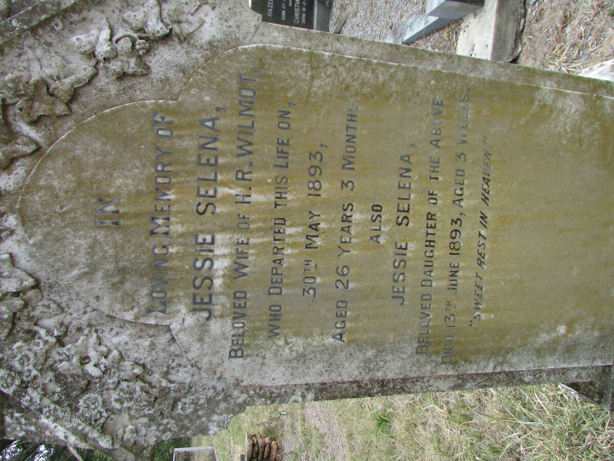 WILMOT Jessie Selena -1893 :: WILMOT Jessie Selena -1893