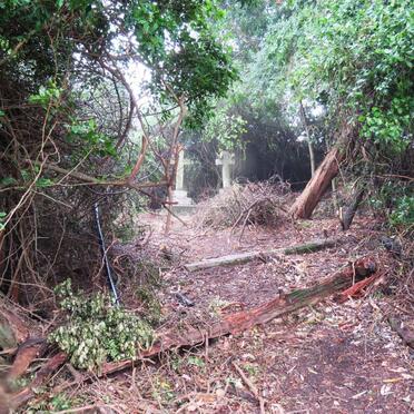 Eastern Cape, ALEXANDRIA district, Thornhill 314, Oakleaf, Reed Family cemetery