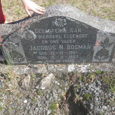 BOSMAN Jacobus N. 1901-1957