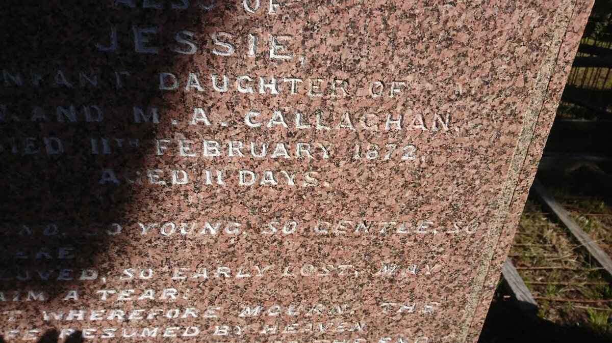 CALLAGHAN John William -1885 &amp; Janet GLEN -1870 :: CALLAGHAN Archibald McIntyre -1863 :: CALLAGHAN Jessie -1872