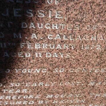 CALLAGHAN John William -1885 &amp; Janet GLEN -1870 :: CALLAGHAN Archibald McIntyre -1863 :: CALLAGHAN Jessie -1872