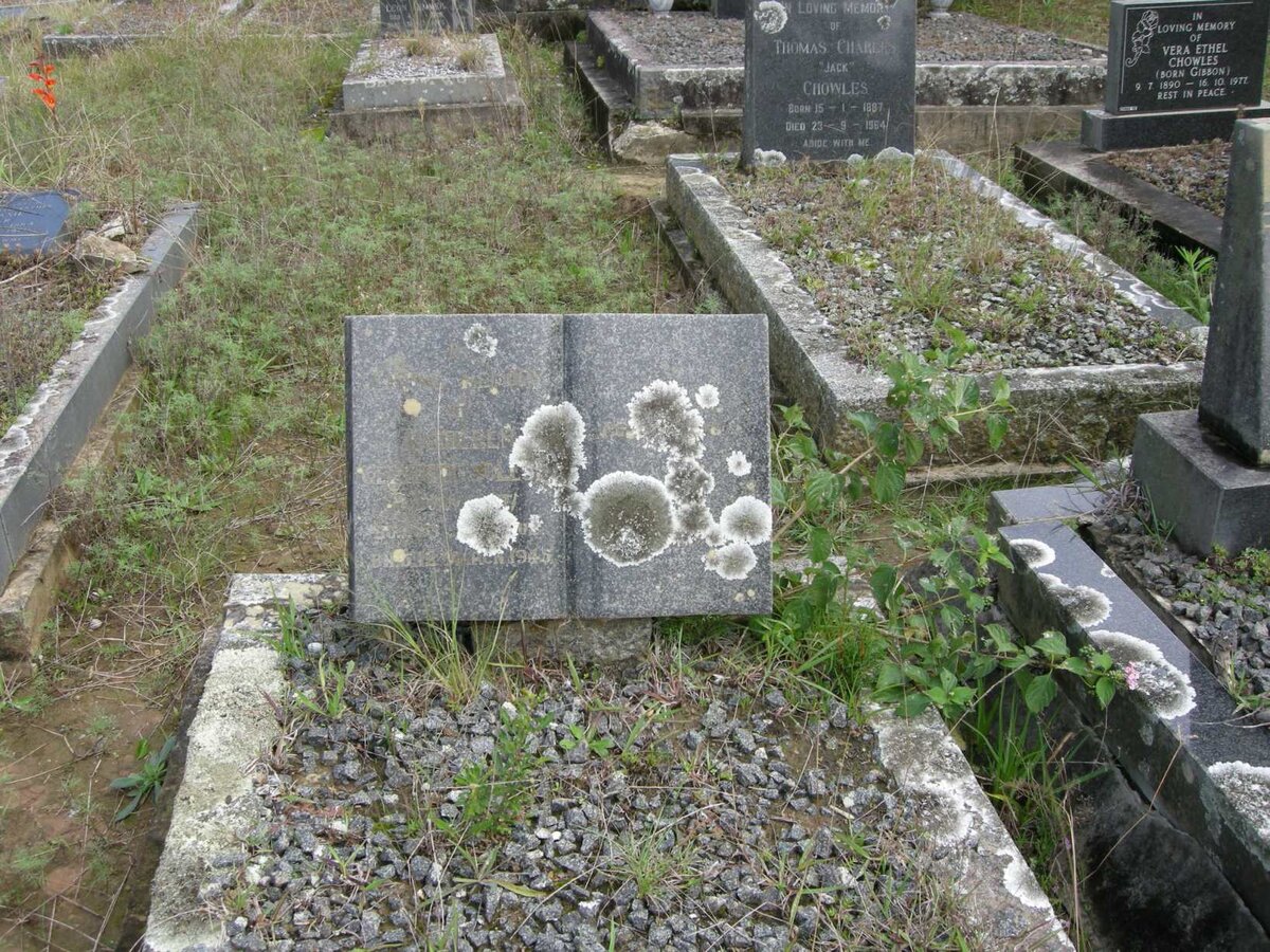 COLESKY Kathleen Gertrude nee GANT 1902-1945