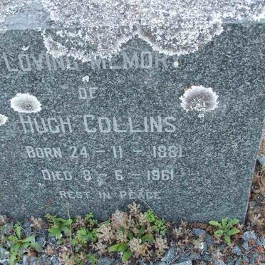 COLLINS Hugh 1881-1961