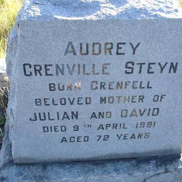 STEYN Audrey nee GRENVILLE -1981