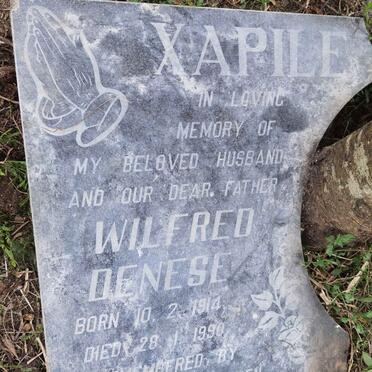 XAPILE Wilfred Denese 1914-1990