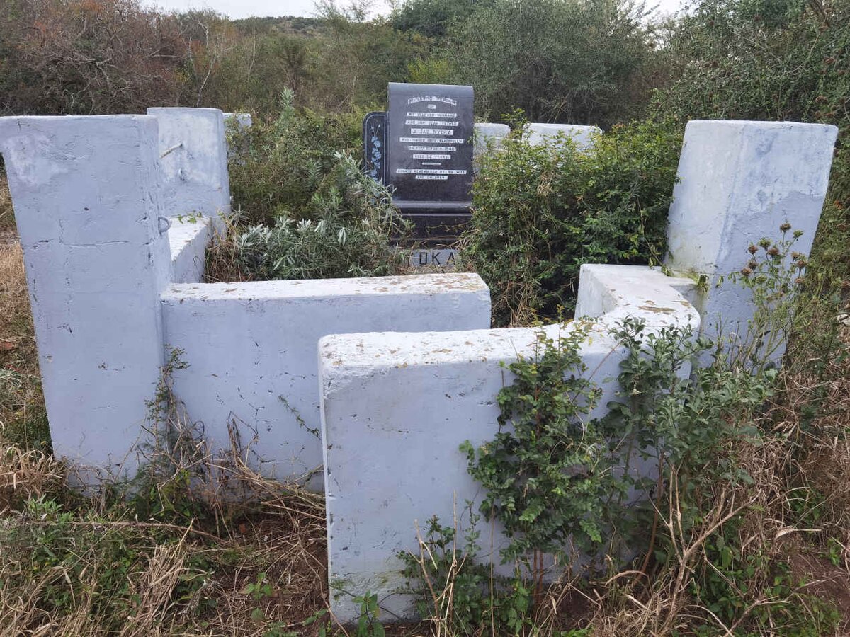 3. Overview / Oorsig