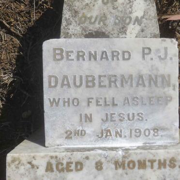 DAUBERMANN Bernard P.J. -1908