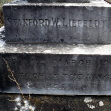 LIEFELDT Stanford W. -1901