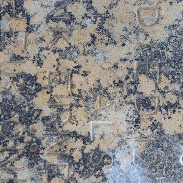 POPE Cecilia Louisa 1864-1883 :: POPE Frank Ernest Murray 1883-18??