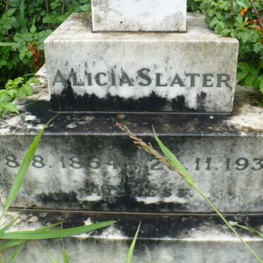 SLATER Alicia 1854-1930