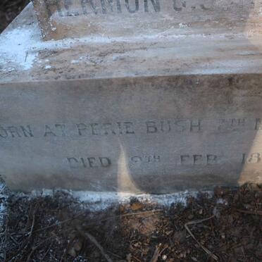 SCHULZ Hermon C. 1860-1887