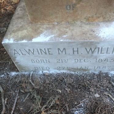 WILLMER Alwine M.H. 1885-1887