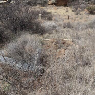 HENNING Francois Alwyn 1873-1950 