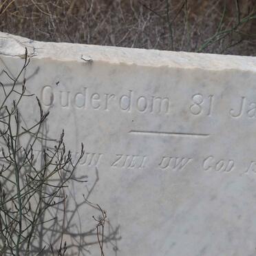 HENNING Johannes Gerhardus -1914 