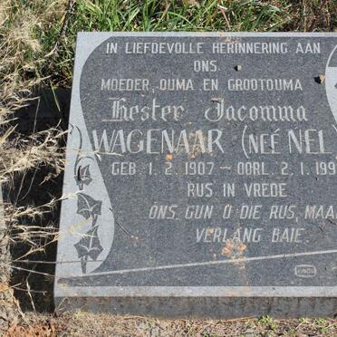 WAGENAAR Hester Jacomina nee NEL 1907-1998