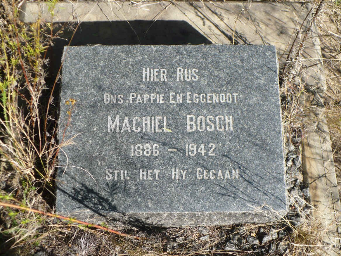 BOSCH Machiel 1886-1942