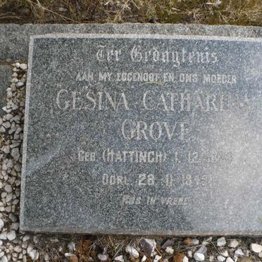 GROVE Gesina Catharina nee HATTINGH 1874-1949