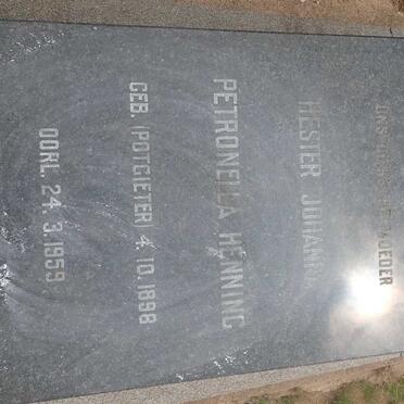 HENNING Hester Johanna Petronella nee POTGIETER 1898-1959