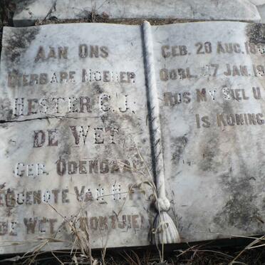 WET Hendrik Francois, de 1860-1935 &amp; Hester C.J. ODENDAAL 1863-1952