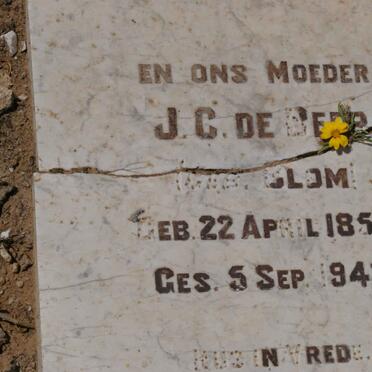 BEER R v. L., de 1847-1930 &amp; J.C. BLOM 1854-1943