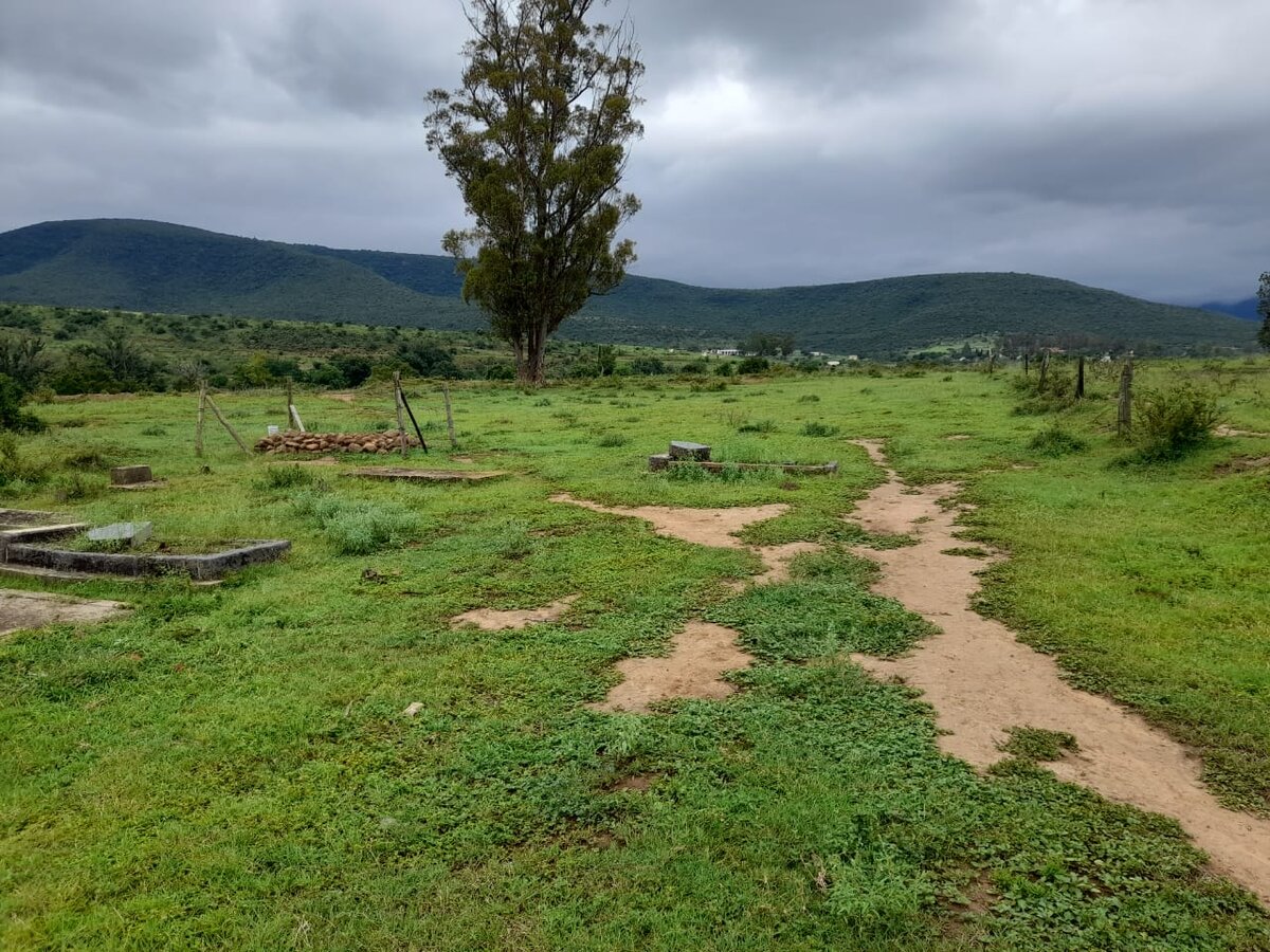 2. Overview / Oorsig