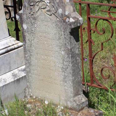 DAVIES Rosa Mabel -1891