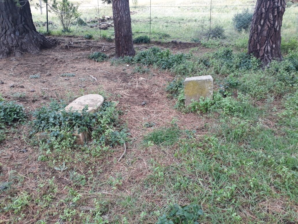 2. Overview / Oorsig