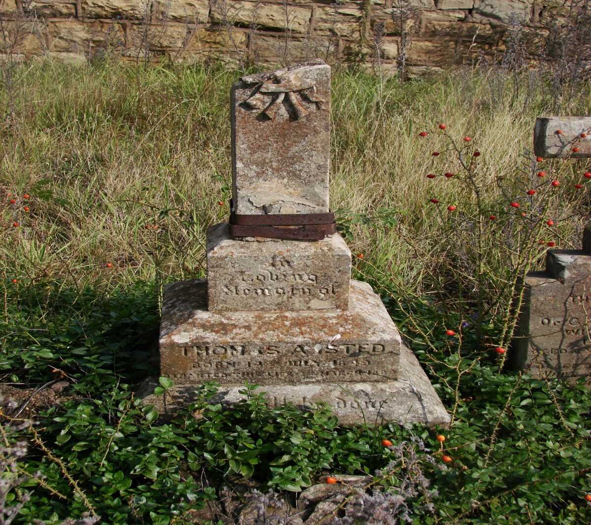 ISTED Thomas A. 1849-1889