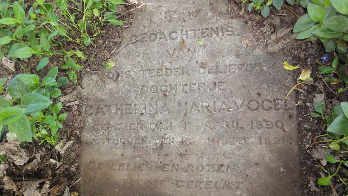 VOGEL Catherina Maria 1890-1891