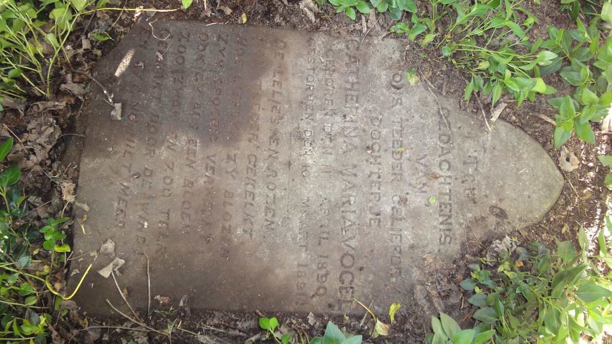 VOGEL Catherina Maria 1890-1891