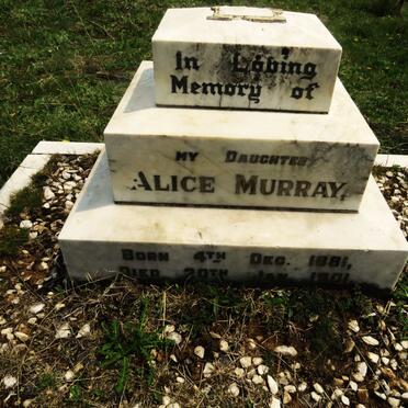 MURRAY Alice 1881-1901
