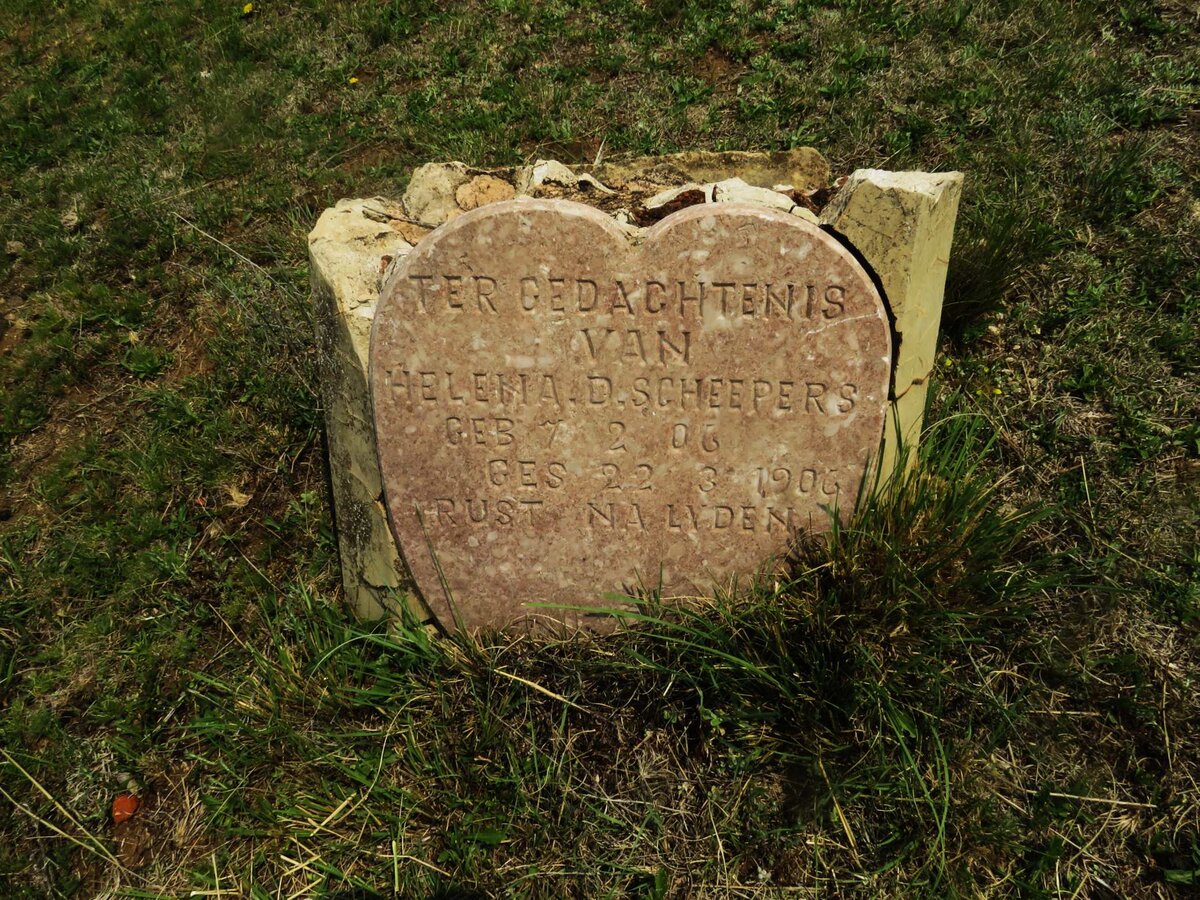 SCHEEPERS Helena D. 1906-1906