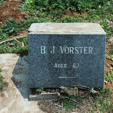 VORSTER B.J.