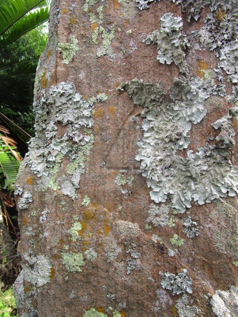 Stone No 4 - BOWKER Julia Eliza nee McGOWAN 1827-1904