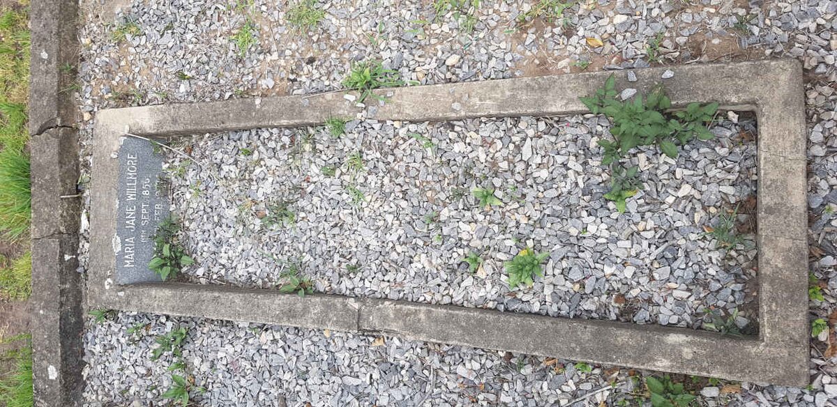 WILLMORE Maria Jane 1856-1937