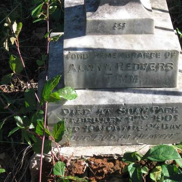 TIMM Alwyn Redvers -1901